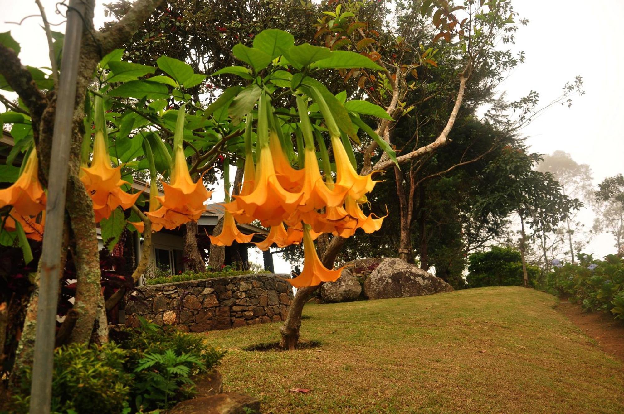 Clouds Holiday Bungalow Haputale Exterior foto